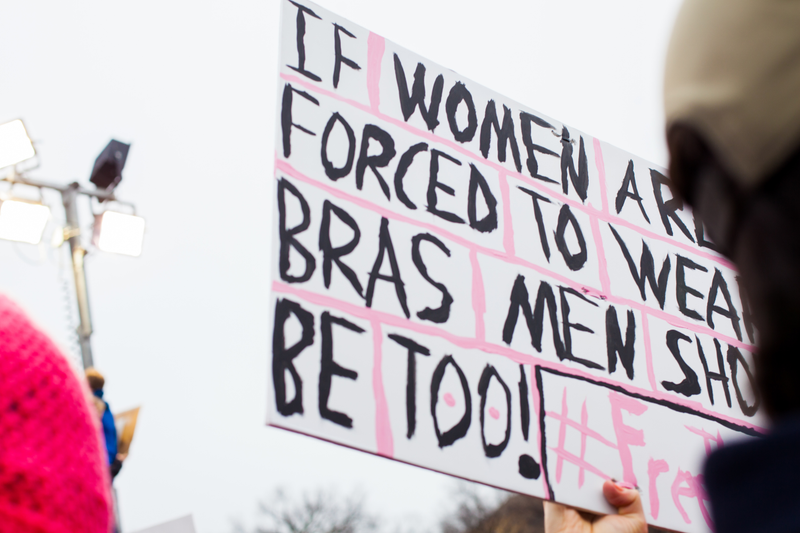 Illustration for article titled WOMEN'S MARCH ON WASHINGTON : THE SIGNS